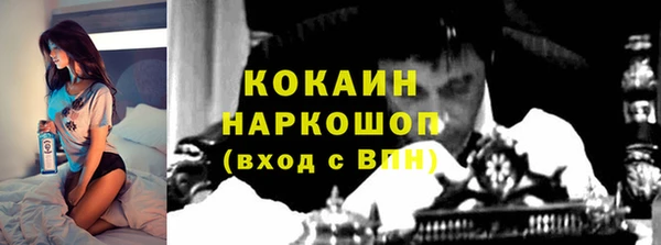 индика Кодинск