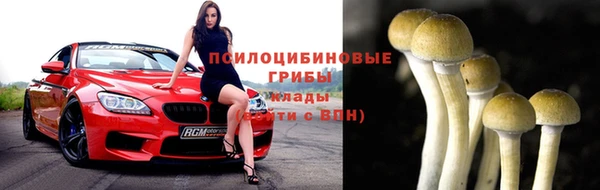 индика Кодинск