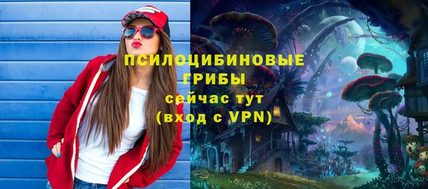 индика Кодинск