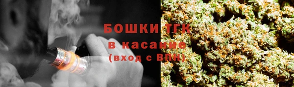 индика Кодинск