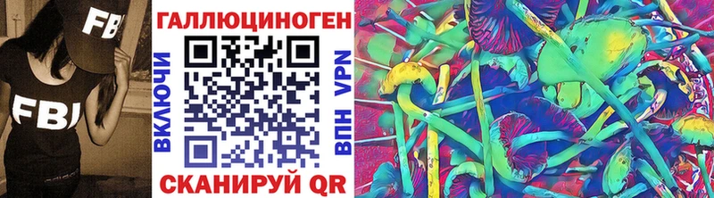 Купить закладки  Сальск  Псилоцибиновые грибы Psilocybe 